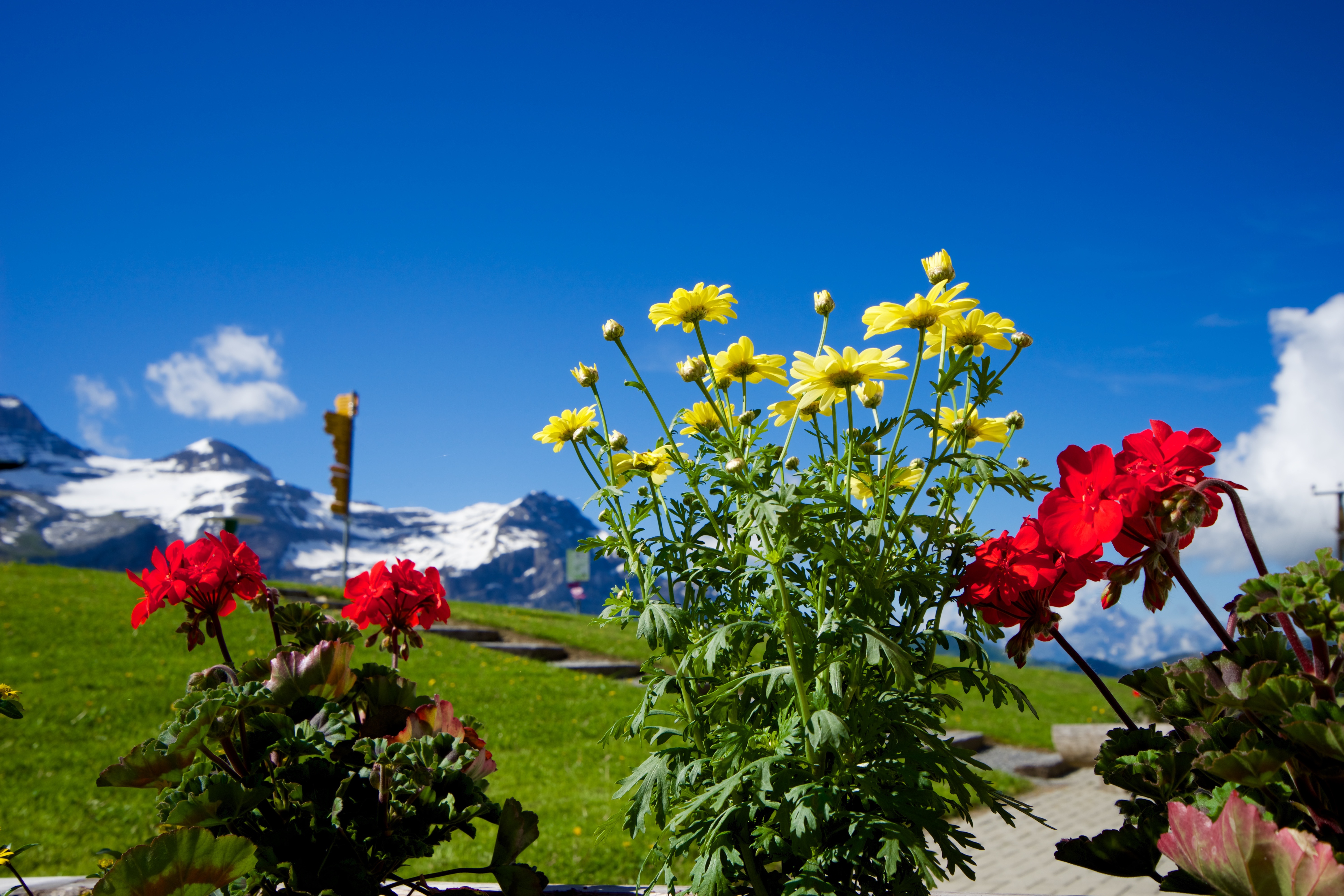 Isenau Les Diablerets Iwan Schuwey (2)
